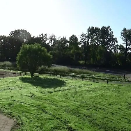 Les Grands Chenes * Remilly-les-Marais